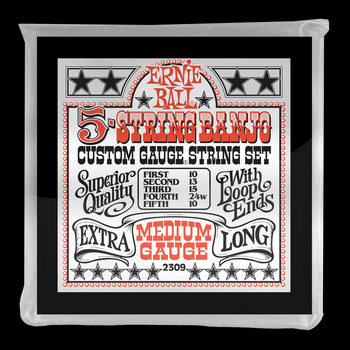 Struny Ernie Ball 5-strings Banjo Medium 10-24 (2309)