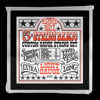 Struny Ernie Ball 5-strings Banjo Extra Light 9-20 (2312)