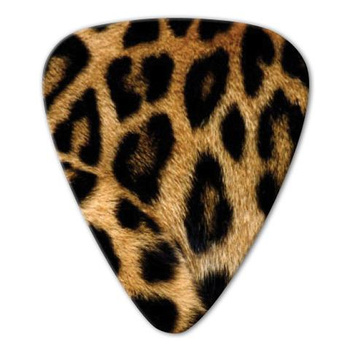 Kostka gitarowa Grover Allman Animal Leopard .80mm