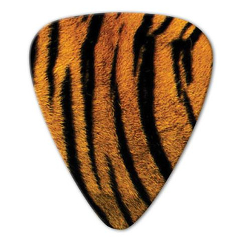 Kostka gitarowa Grover Allman Animal Tiger .80mm