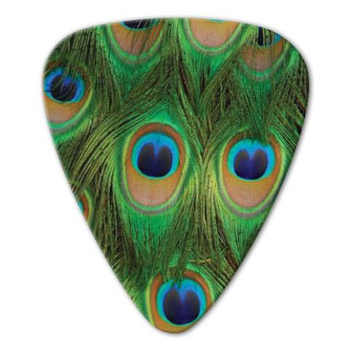 Kostka gitarowa Grover Allman Animal Peacock .80mm