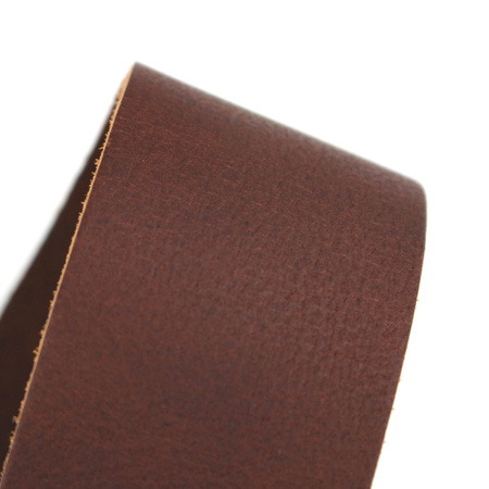 Pasek do gitary skórzany RICHTER Raw I Punch Brown