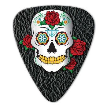 Kostka gitarowa Grover Allman Skull Black .80mm