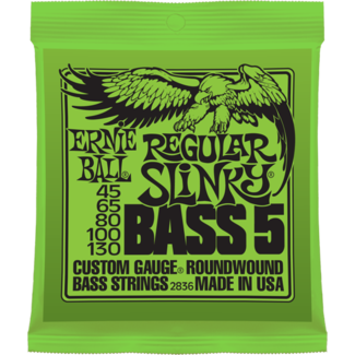 Struny Ernie Ball Regular Slinky 5-string  Bass Nickel Wound 45-130 (2836)