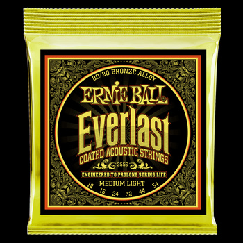 Struny powlekane Everlast Medium Light Coated 80/20 Bronze Acoustic 12-54 (2556)