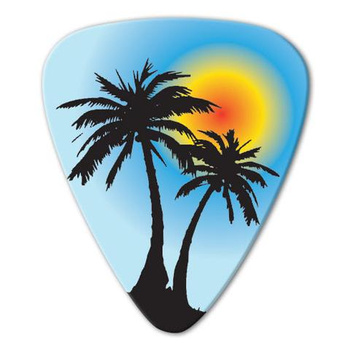Kostka gitarowa Grover Allman Reggae Palm .80mm