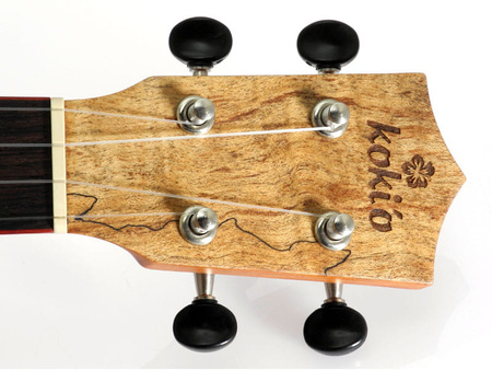 Ukulele koncertowe Koki'o lity cedr (U-SCDLSM-C)