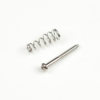 Wkręt srebrny 2,4 x 25 mm ze sprężynką do montażu przystawek typu Single Coil GuitarTECH