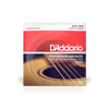 Struny D'Addario Phosphor Bronze Medium 13-56 EJ17