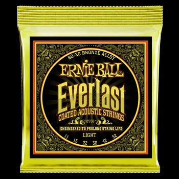 Struny powlekane Everlast Light Coated 80/20 Bronze Acoustic 11-52 (2558)