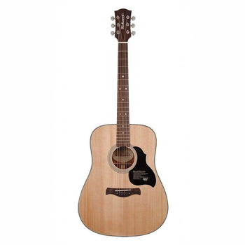 Gitara akustyczna Richwood Master Series D-40