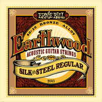 Struny Ernie Ball Earthwood Silk&Steel Regular Acoustic 80/20 Bronze 13-56 (2043)